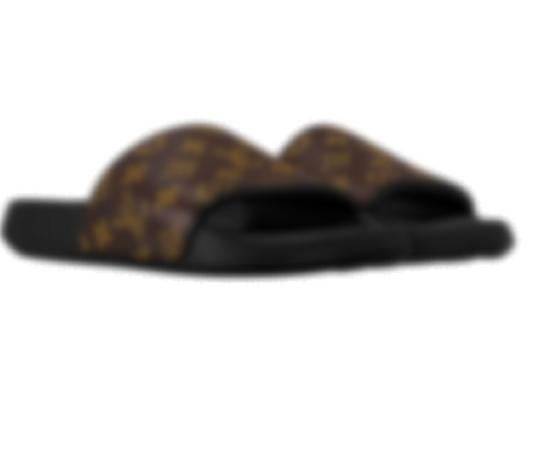LV BROWN SLIDE